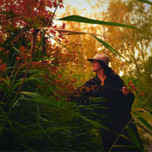 Hedge Witch’s Harvest